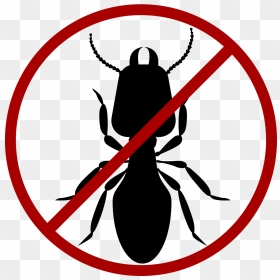 Borer And Termite Proof, HD Png Download - termite png