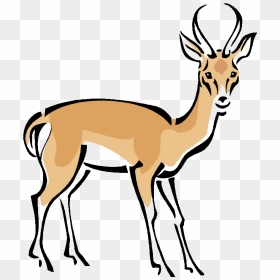 Gazelle Clipart Wild Deer - Gazelle Clipart, HD Png Download - gazelle png