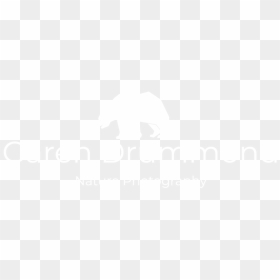 Garen Png, Transparent Png - garen png