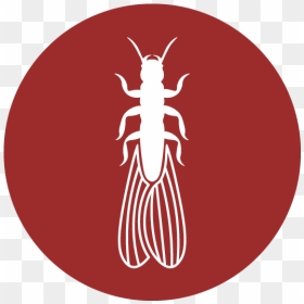 Termite Control - Illustration, HD Png Download - termite png