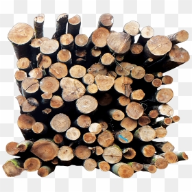 Lumber, HD Png Download - wood slice png