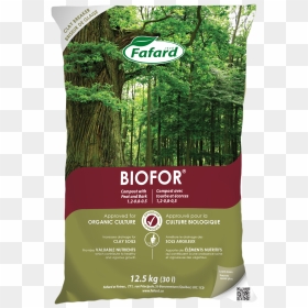Mighty Oak Tree, HD Png Download - compost png
