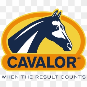 Cavalor Fei, HD Png Download - large png