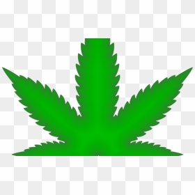 Weed Png, Transparent Png - weed plants png