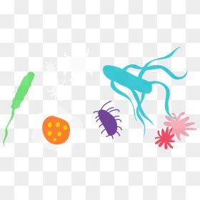 Infectious Disease Clipart, HD Png Download - infection png