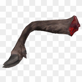 Nwgazellemeat - Cryptid, HD Png Download - gazelle png