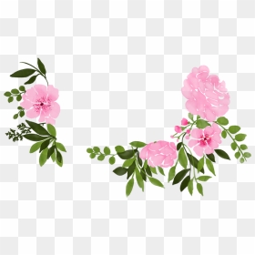 Rosa Glauca, HD Png Download - watercolor flower wreath png