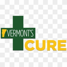 Vermont"s Coalition For Universal Reform Is An Advocacy - Orange, HD Png Download - $100 bill png