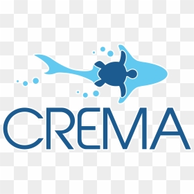 Logo Irena, HD Png Download - logo facebook blanco png