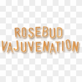 What Is Strip Rosebud Vajuvenation - Metal, HD Png Download - rosebud png
