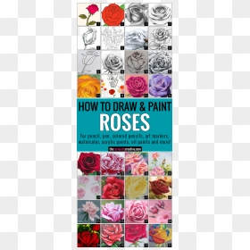Petal Drawing Rose Bud - Draw A Rose, HD Png Download - rosebud png
