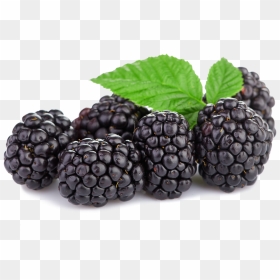Blackberries Png, Transparent Png - blackberry fruit png