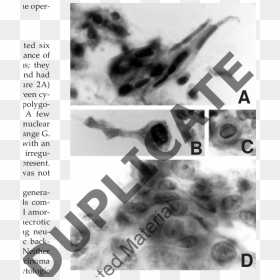 Poster, HD Png Download - black smear png