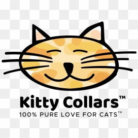 Kitty Collars Home - Domestic Short-haired Cat, HD Png Download - kitty cat png