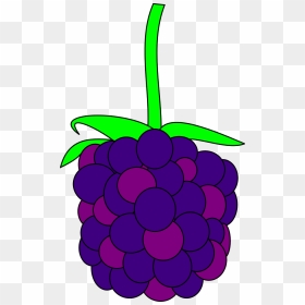 Violet Berry Clipart, HD Png Download - blackberry fruit png