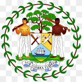 Free Vector Coat Of Arms Of Belize Clip Art - Belize Flag, HD Png Download - escudo vector png