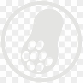 Peanut Allergy Grey Icon - Peanuts Allergy Symbol, HD Png Download - the peanuts movie png