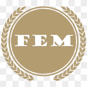 Fem Logo - 99 India News, HD Png Download - transamerica logo png