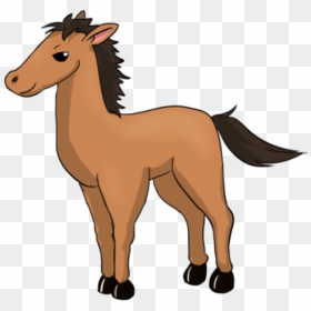 Baby Clipart Horse - Cartoon Baby Horse Clipart, HD Png Download - baby horse png