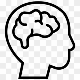 Brain, HD Png Download - lil broomstick png
