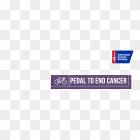 American Cancer Society, HD Png Download - transamerica logo png