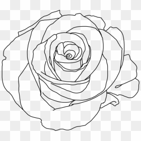 Line Art, HD Png Download - flower drawing png tumblr