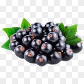 Blackcurrant Fruit Png Photo - Black Currant Oil Uk, Transparent Png - blackberry fruit png