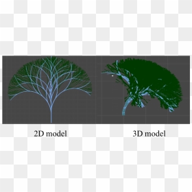 Furthermore, The Rotations Can Be Designed In 3d, Resulting - Palm Tree, HD Png Download - 3d tree png
