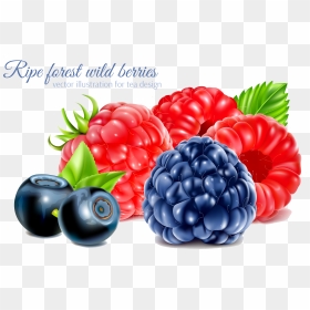Frutti Di Bosco Raspberry Fruit, HD Png Download - blackberry fruit png