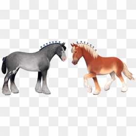 Sso Horses, HD Png Download - baby horse png