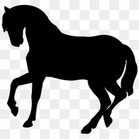 Horse Silhouette Dog Baby Jungle Animals Cat, HD Png Download - baby horse png