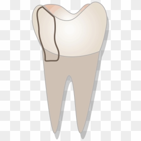 Fang, HD Png Download - tooth.png