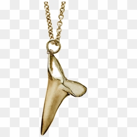 Shark Tooth Png - Shark Tooth Necklace Transparent, Png Download - tooth.png