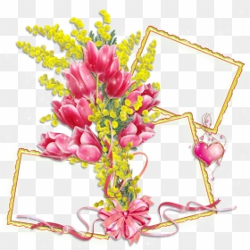 Mimosa Frames Clipart , Png Download - Фон 8 Марта Для Фотошопа, Transparent Png - mimosas png