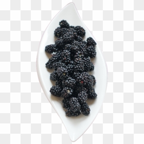 Berry, HD Png Download - blackberry fruit png