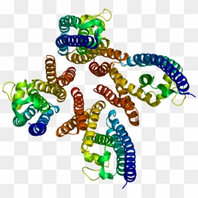 Protein Tsn Pdb 1j1j - Protein, HD Png Download - c3p0 png