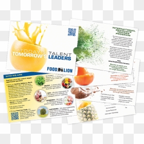 Recruitmentgallery Foodlion Sleevebrochure , Png Download - Flyer, Transparent Png - food lion logo png