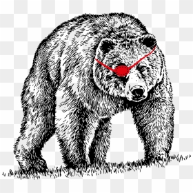 Don T Poke The Bear Cider, HD Png Download - poke png