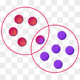 Branding-web - Circle, HD Png Download - mimosas png
