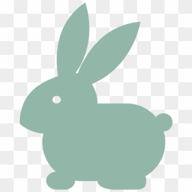 Np Bunny 1596393 82ab99, HD Png Download - mimosas png