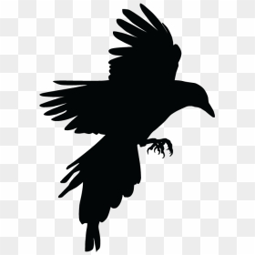 Magpie Silhouette, HD Png Download - vhv