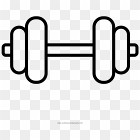 Training Physical Fitness Gym - Transparent Background Dumbbell Icon, HD Png Download - gym icon png