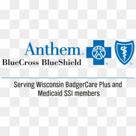 Anthem Blue Cross Blue Shield Logo, HD Png Download - blue shield png