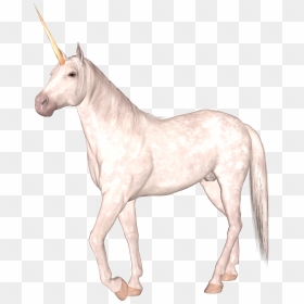 Unicorn, HD Png Download - unicorn .png