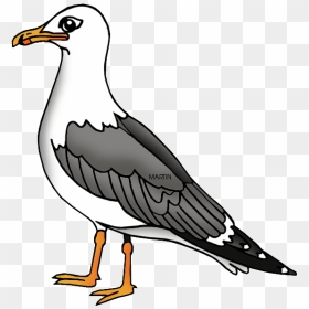 United States Clip Art By Phillip Martin, Utah State - Clip Art Sea Gull, HD Png Download - utah outline png