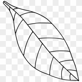 Computer Icons Drawing Black And White Leaf Coloring - Leaf Clipart Black And White, HD Png Download - computer icon png black