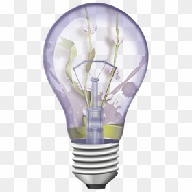 Light Bulbs Illustration, Glow, Lighting, Lightbulb, - Light Bulb Off, HD Png Download - light bulb on off png