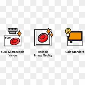 Icons Web Ai 1 - Circle, HD Png Download - ai icon png