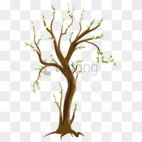Free Png Spring Tree Png Png Image With Transparent - Trees In Spring Clipart, Png Download - free tree png