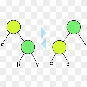 Binary Tree Rotation, HD Png Download - trees from above png